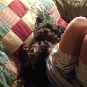 Meet your Posher, Jake